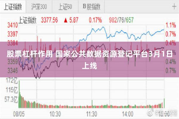 股票杠杆作用 国家公共数据资源登记平台3月1日上线