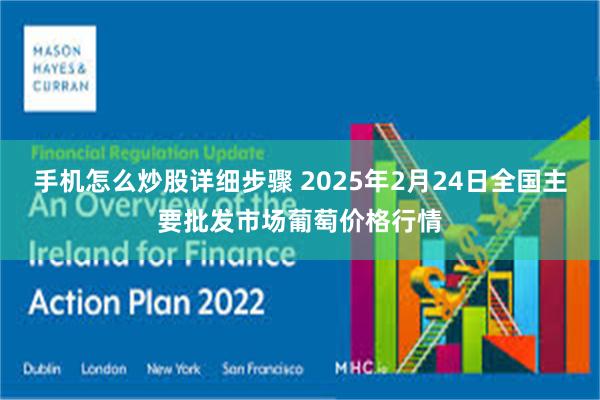 手机怎么炒股详细步骤 2025年2月24日全国主要批发市场葡萄价格行情