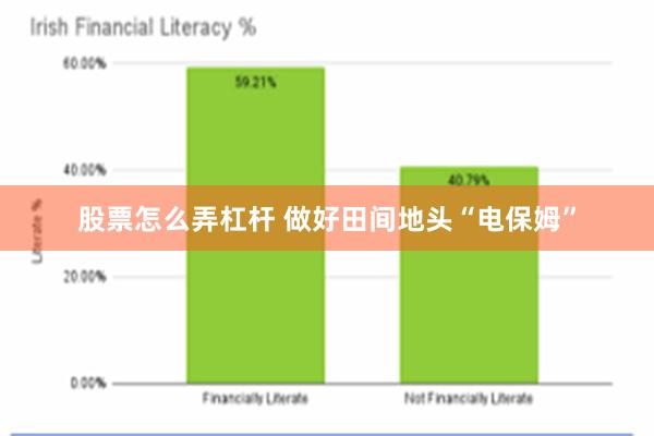 股票怎么弄杠杆 做好田间地头“电保姆”