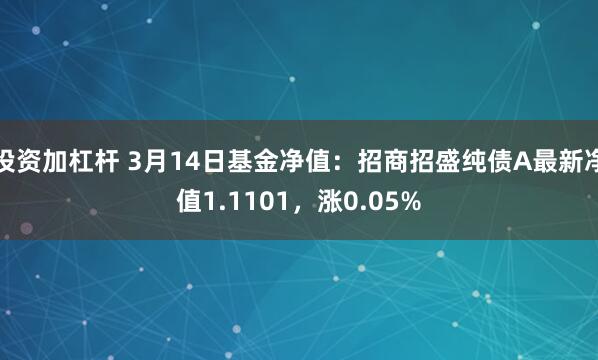 投资加杠杆 3月14日基金净值：招商招盛纯债A最新净值1.1101，涨0.05%